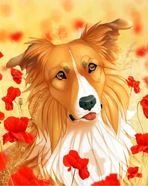 Border Terrier Dog Painting By Numberss.png