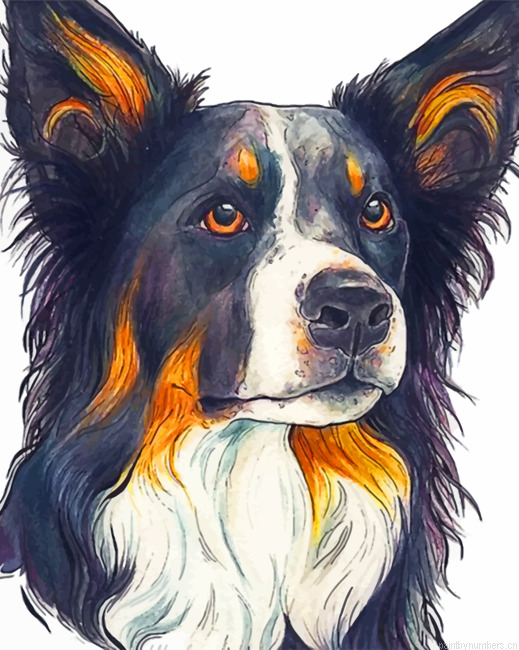 Border Terrier Painting By Numberss.png