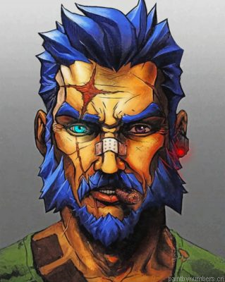 Borderlands Character Painting By Numbers.png