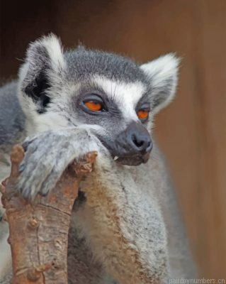 Bored Lemur Painting By Numbers.png