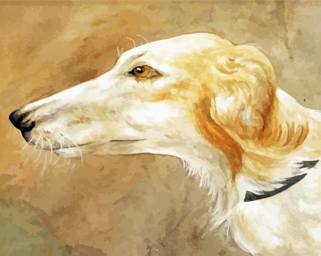 Borzoi Dog Head Painting By Numberss.png