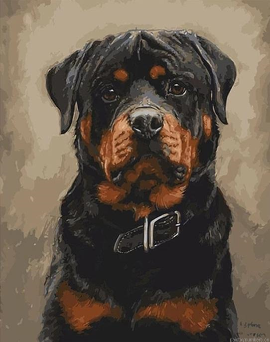 Boston Boxer Dog Painting By Numbers.png