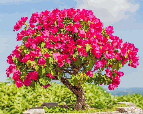 Bougainvillea Bonsai Painting By Numbers.png