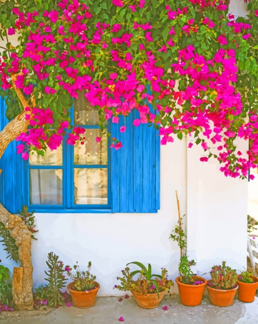 Bougainvillea Flower Painting By Numbers.png