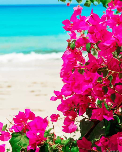 Bougainvillea Plants Painting By Numberss.png