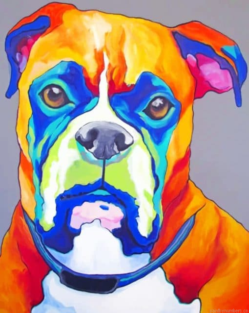 Boxer Dog Pop Art Painting By Numbers.png