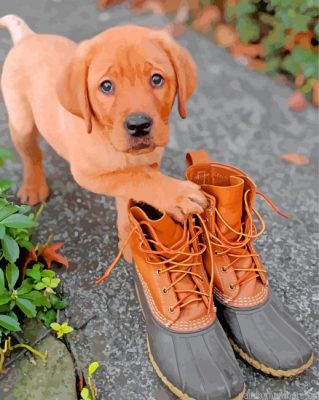 Boxer Red Lab Puppy Painting By Numbers.png