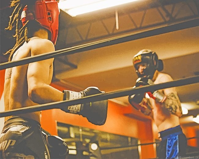 Boxing Painting By Numberss.png