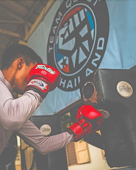 Boxing Sandbag Painting By Numberss.png