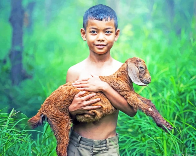 Boy Holding Little Sheep Painting By Numberss.png