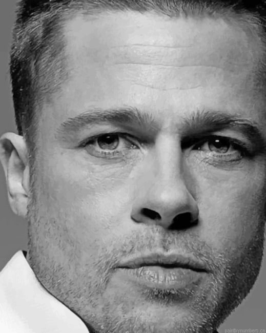 Brad Pitt Black And White Actors Painting By Numberss.png