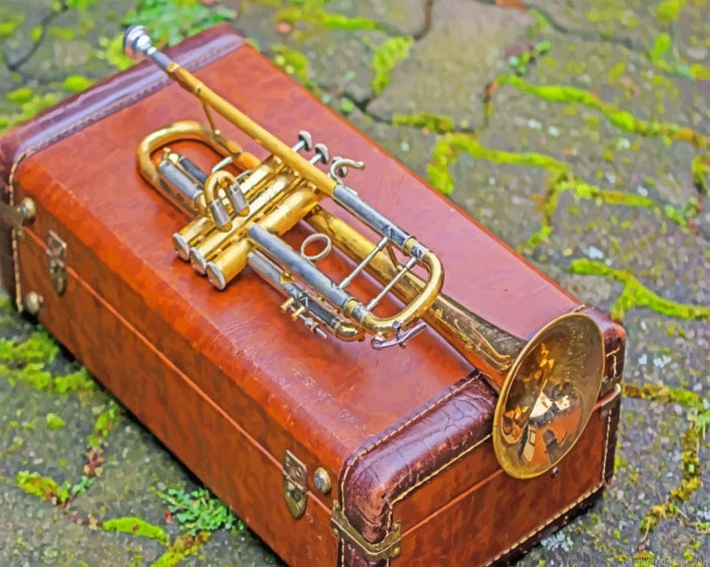 Brass Music Instrument Painting By Numberss.png