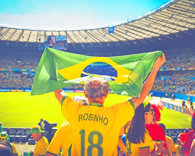 Brazil Stadium Football Painting By Numbers.png