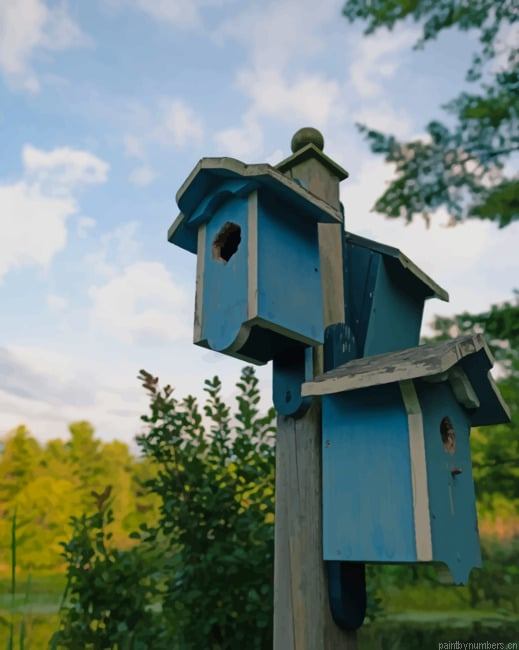 Bright Blue Bird Houses Painting By Numberss.png