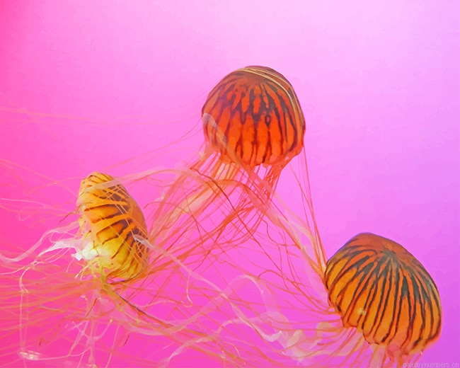 Brown And Black Jellyfishes Painting By Numberss.png