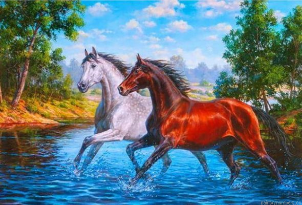 Brown And Grey Horse Painting By Numbers.png