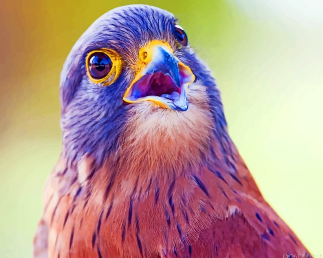 Brown And Purple Bird Painting By Numberss.png