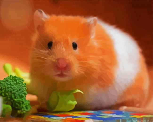 Brown And White Hamster Painting By Numbers.png