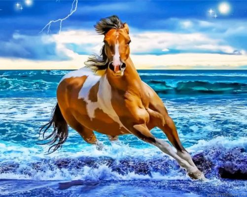 Brown And White Horse Painting By Numbers.png