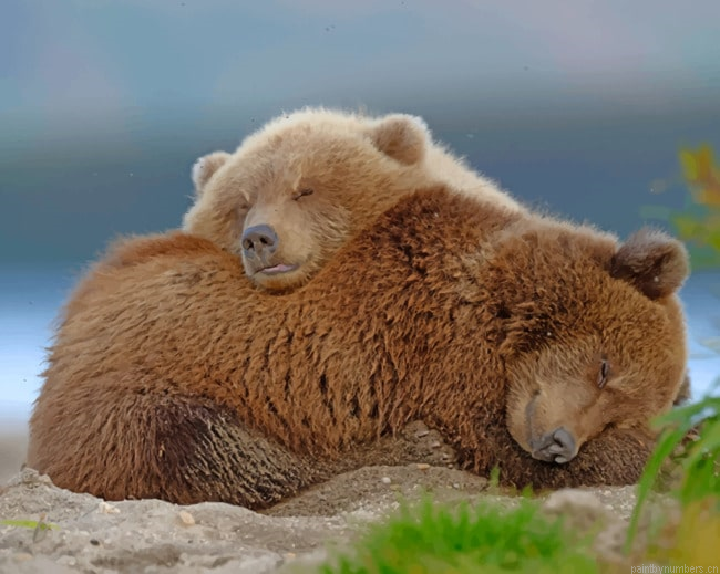 Brown Bears Animals Painting By Numberss.png