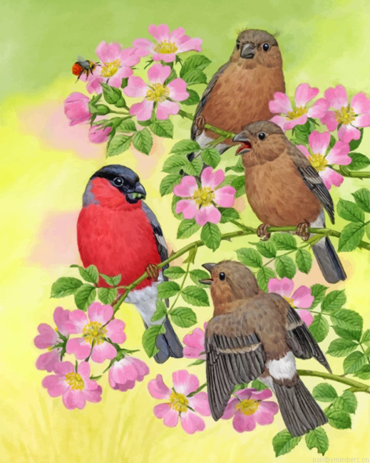 Brown Birds And Bullfinch Painting By Numberss.png