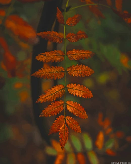 Brown Bruised Leaves Plants Painting By Numberss.png