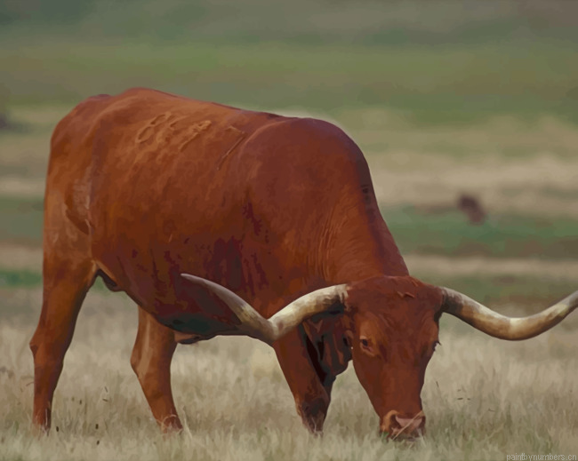Brown Buffalo Longhorn Texas Animals Painting By Numberss.png