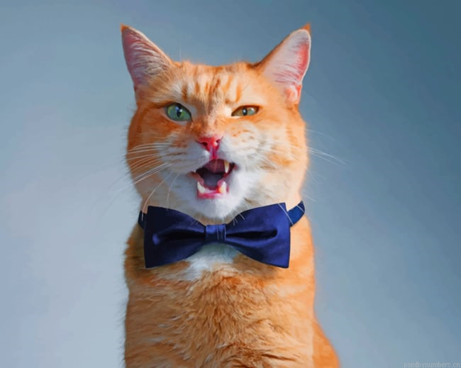 Brown Cat With Bow Animals Painting By Numberss.png