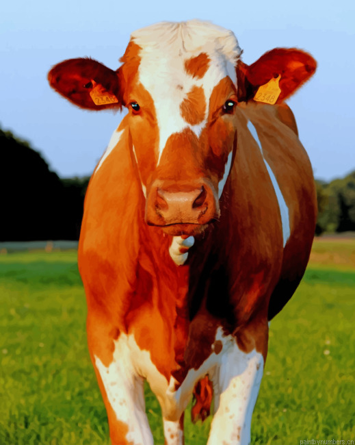 Brown Cow Animals Painting By Numberss.png