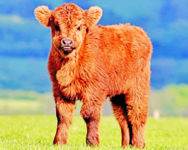 Brown Cow Calf Animals Painting By Numberss.png