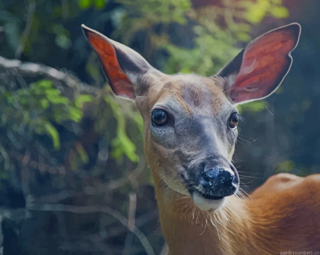 Brown Deer In Forest Animals Painting By Numberss.png