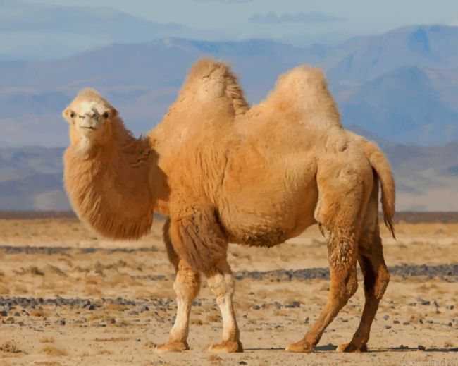 Brown Desert Camel Animals Painting By Numberss.png