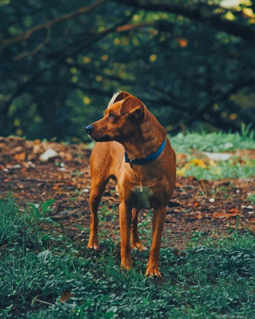 Brown Dog In Forest Animals Painting By Numberss.png