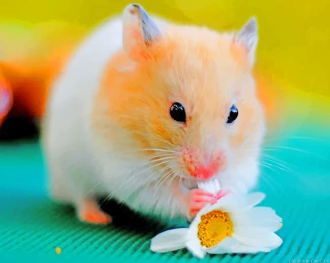 Brown Hamster Eating Flower Animals Painting By Numberss.png