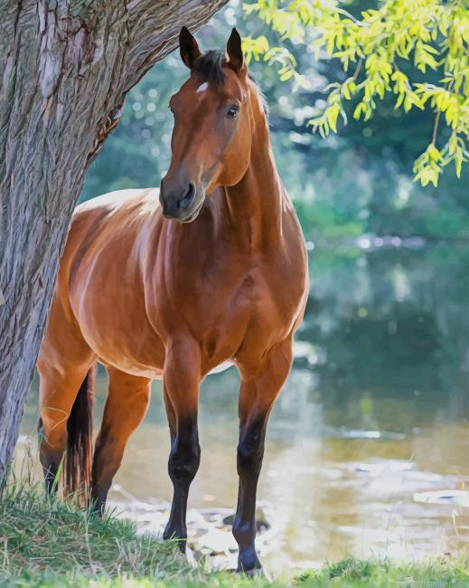 Brown Horse Animals Painting By Numberss.png