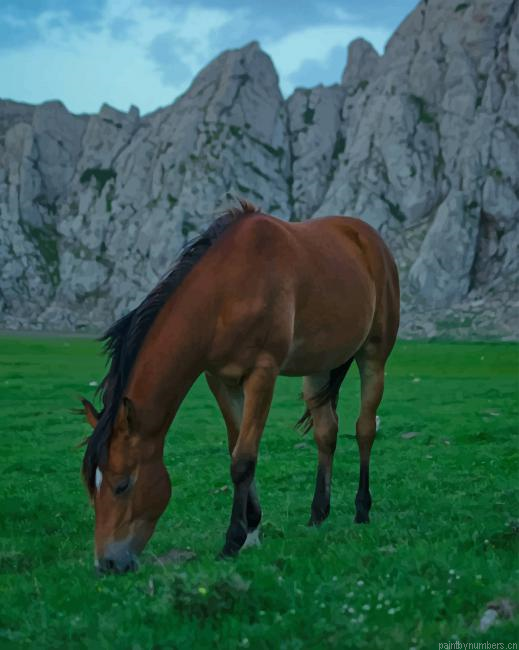 Brown Horse In Nature Animals Painting By Numberss.png