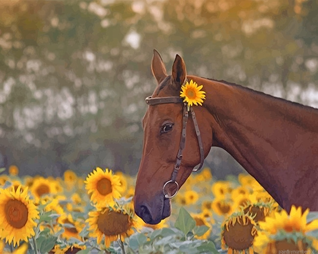 Brown Horse In Sunflower Field Animals Painting By Numberss.png