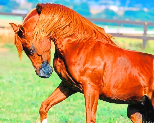 Brown Horse Mane Animals Painting By Numberss.png