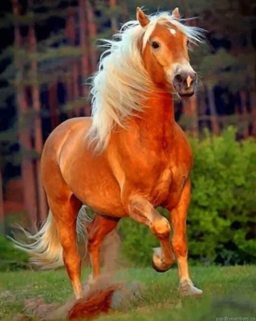 Brown Horse With White Hair Animals Painting By Numberss.png