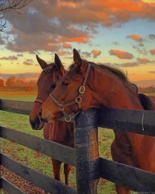 Brown Horses Animals Painting By Numberss.png