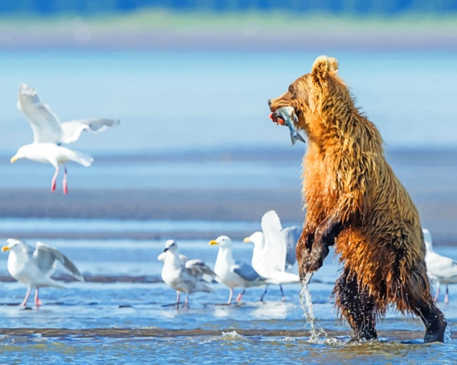 Brown Hunter Bear Animals Painting By Numberss.png