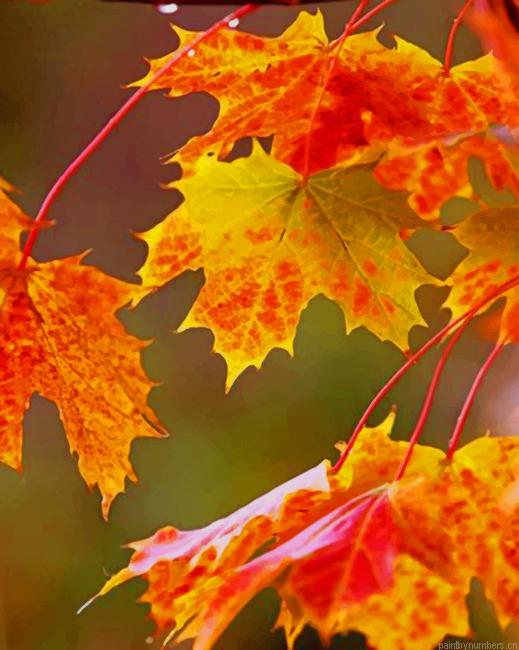 Brown Leaves Plants Painting By Numberss.png