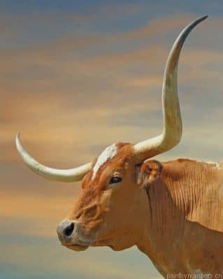 Brown Longhorn Painting By Numbers.png