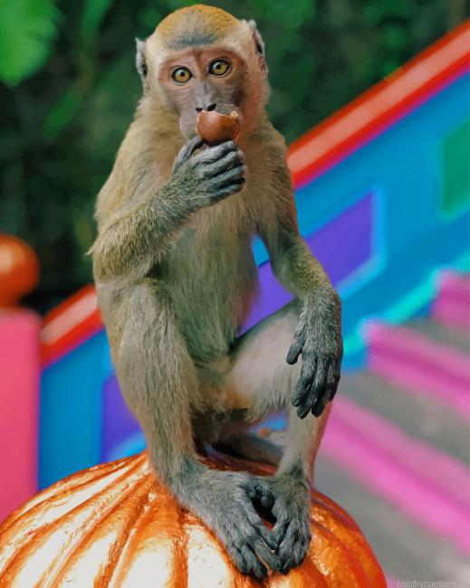 Brown Monkey Animals Painting By Numberss.png