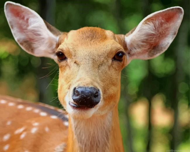 Brown Reindeer Animals Painting By Numberss.png