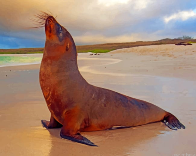 Brown Sea Lion Animals Painting By Numberss.png