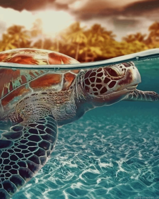 Brown Sea Turtle Animals Painting By Numberss.png