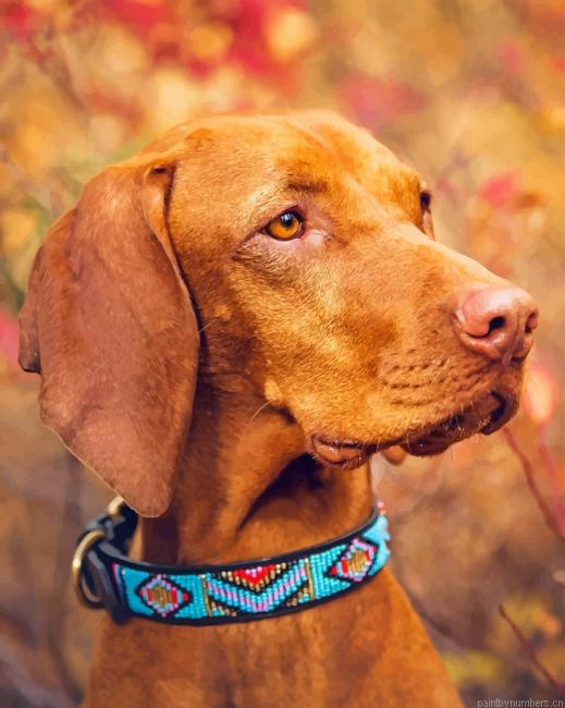 Brown Weimaraner Painting By Numbers.png