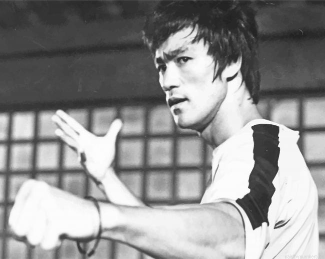 Bruce Lee The Dragon Actors Painting By Numberss.png