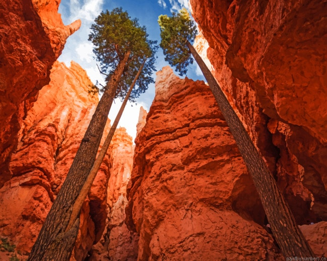 Bryce Canyon National Park Nature Painting By Numberss.png